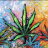 Autoflowerak