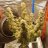 TightNugsgardenofgreen