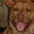 Green_acres_816