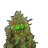 TheWhiteOG