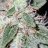 SweetleafLoudoun