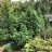 slysfarm