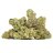 TERRAGROW