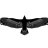 PeregrineRefuge8281