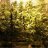 cannbis420