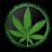 grow1