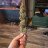 smoker0420