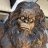 SasquatchCLT
