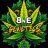 BnEgenetics