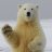 Polar_Bear_1947