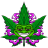 CannaChronicles
