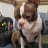 Mrs_holder