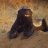 HoneyBadger360