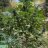 EastCoastOutdoor