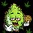 Budmasterflex