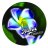 AlohaEmbassy