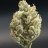 growops.anon