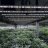 May_GrowRoom