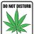DrGreenthumbVT