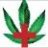 HighDesertMMJ