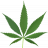 canna2go