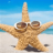 starfish
