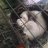 Crazedferret420