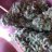 CannaTech