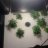 glasgrower