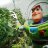 BudLightyear