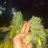 chronic707