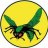 GREENHORNET1