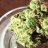 TheWeedMahn