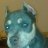 teedee20916