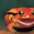 RedFroggie