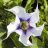 JimsOnWeed
