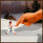User TJ