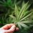 growingweed