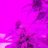 dubbud