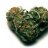 WeedsInChina