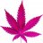 Kannabisz