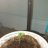 Growmyfirst