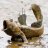 Mudskipper