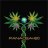 Panacea420