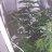 staygreen024