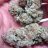 LoudFarmer