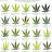MexaMntnGrow