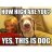 yesdog