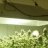 ekomstop420