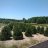 Wefarm